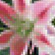Preview of cross stitch pattern: #472