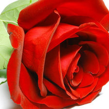 Source of cross stitch pattern: #2330