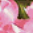 Preview of cross stitch pattern: #3245