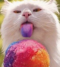 Cross stitch pattern: #3552