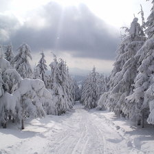 Cross stitch pattern: #3632