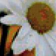 Preview of cross stitch pattern: #3685
