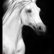 Cross stitch pattern: #4018