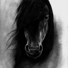 Cross stitch pattern: #4075