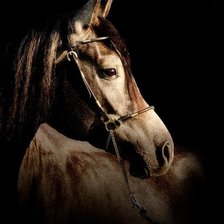 Cross stitch pattern: #4077