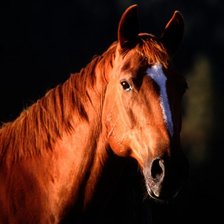 Cross stitch pattern: #4087