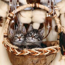 Cross stitch pattern: #4247