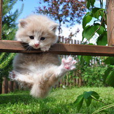 Cross stitch pattern: #4248