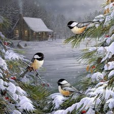 Cross stitch pattern: #4362