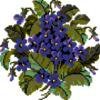 Cross stitch pattern: #4378