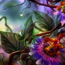 Cross stitch pattern: #5164