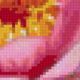 Preview of cross stitch pattern: #5361