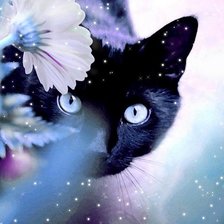 Cross stitch pattern: #5769