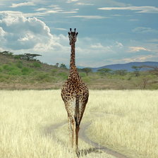 Cross stitch pattern: #5801