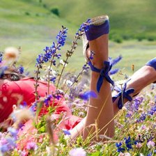 Cross stitch pattern: #5815