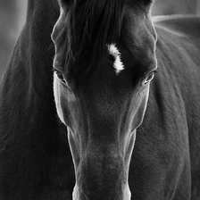 Cross stitch pattern: #5837