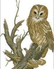 Cross stitch pattern: #5848