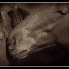 Cross stitch pattern: #5897