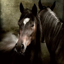 Cross stitch pattern: #5901