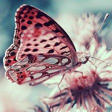 Cross stitch pattern: #7124