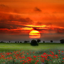 Cross stitch pattern: #7846