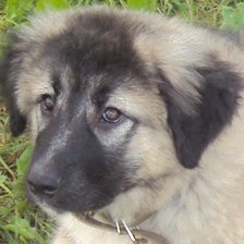 Cross stitch pattern: #8311