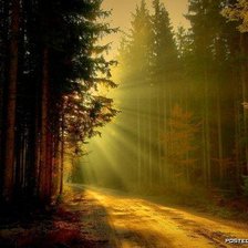 Cross stitch pattern: #8819