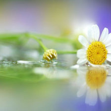 Cross stitch pattern: #9410