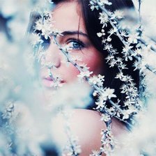 Cross stitch pattern: #9411