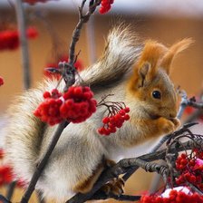 Cross stitch pattern: #9422