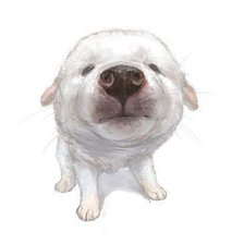 Cross stitch pattern: #9475