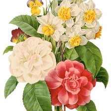 Cross stitch pattern: #9805