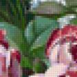 Preview of cross stitch pattern: #9811