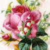 Cross stitch pattern: #10288