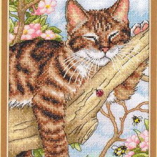 Cross stitch pattern: #10897