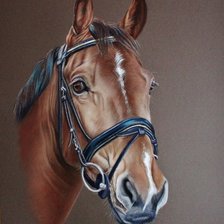 Cross stitch pattern: #12127
