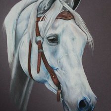 Cross stitch pattern: #12144