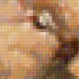 Preview of cross stitch pattern: #12657