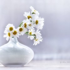 Cross stitch pattern: #14626