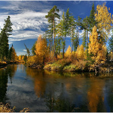 Cross stitch pattern: #14685