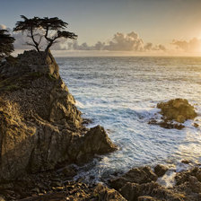 Cross stitch pattern: #14701