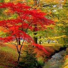 Cross stitch pattern: #14706