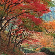 Cross stitch pattern: #14724