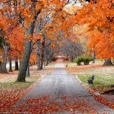 Cross stitch pattern: #14727