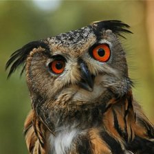 Cross stitch pattern: #14766