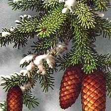 Cross stitch pattern: #14860