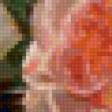 Preview of cross stitch pattern: #15568