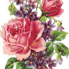 Cross stitch pattern: #17314