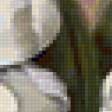 Preview of cross stitch pattern: #17571