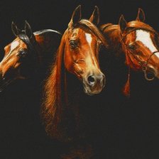 Cross stitch pattern: #18035